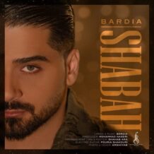 آهنگ جدید بردیا بهادر به نام شبح